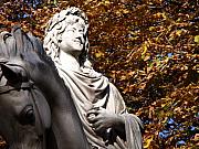 Edan Chapman - Louis XIII