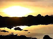 Edan Chapman - Sunset