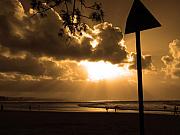 Edan Chapman - The Pass Byron Bay